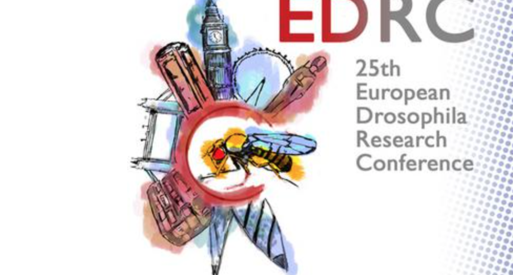 Drosophila conference Imperial EDRC 2017