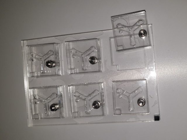 6 Y Maze Inserts With Plate