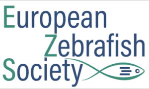 european zebrafish meeting