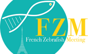 Frenchzfish