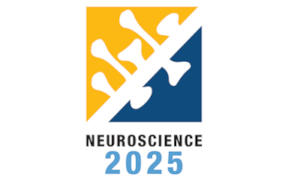 Sfn2025