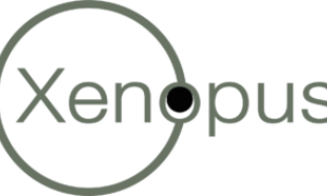 Xenopus logo1e 300x170